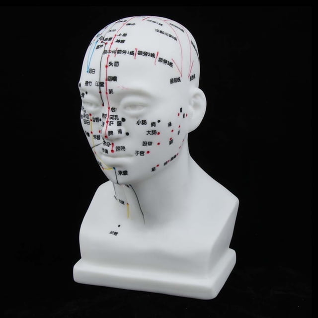 Modelo de Puntos de Acupuntura de Meridian Macarena Juego de masaje de acupuntura