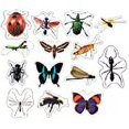 thumbnail image 1 of Carson Dellosa Education, 1 of 1
