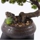 thumbnail image 4 of Plantas artificiales, bonsáis, decoración de escritorio, plantas artificiales de interior con macetas de cerámica, 4 of 5