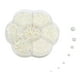 thumbnail image 4 of 2800 Piezas de Adornos de Ropa Media Perla Perfecl para Arte de Uñas Teléfono Tocados Champán, 4 of 6