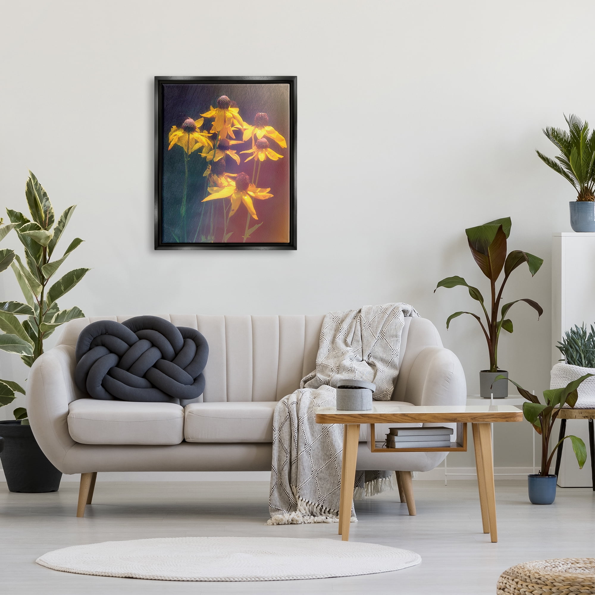 Stupell Industries Black-Eyed Susan Photography Botanical & Floral Photography Black Floater Framed Canvas Art Print Wall Art, 25 x 31