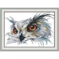 thumbnail image 1 of Cross Stitch Stamped Kits Full Range of Embroidery Starter Kits Beginners for DIY 11CT 3 Strands - Owl 15.410.6(inch), 1 of 5