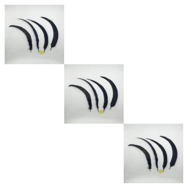 Cateissary Wholesale Quality Beautiful 10PCS Dyeing Feathers Tail Type1 NO1