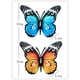 thumbnail image 1 of Iron Garden Ornaments Butterfly Pendant Metal Products 22*27*0.8, 1 of 1