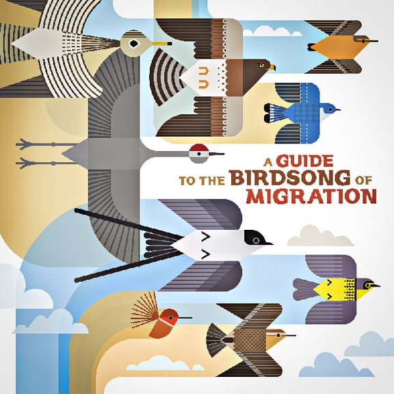 Various Artists - A Guide To The Birdsong Of Migration (Various Artists) - Music & Performance - CD