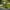 J1, variant on Guozer Garden Decorative Inserts Garden Stakes Decorative Garden Art Outdoor Spring Decor for Potted, Yard