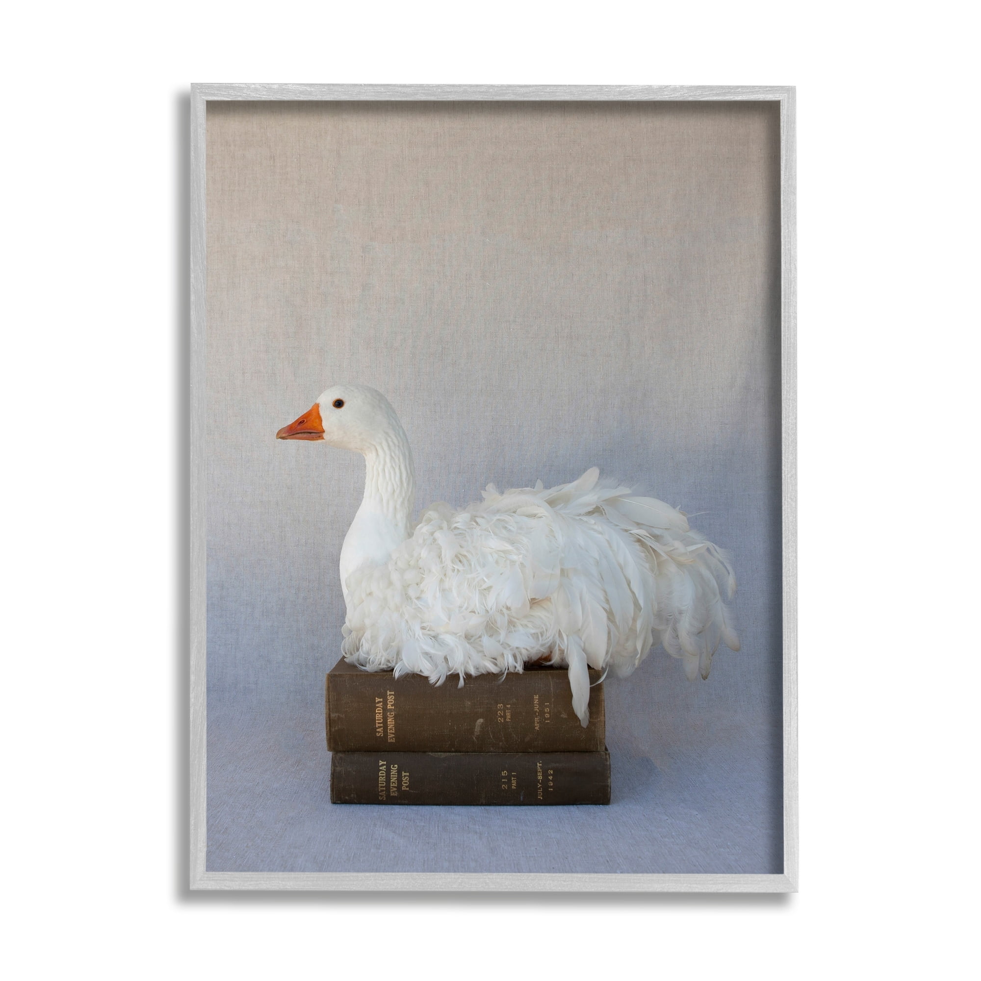 Stupell Industries Fluffy Goose Bookstack Bird Nesting Vintage Literature,16 x 20, Design by Tania Soderman