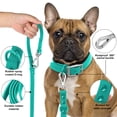 thumbnail image 3 of Correa para perro Wisedog, impermeable, estándar, 1,5 m/1,8 m de longitud, color verde, 3 of 6