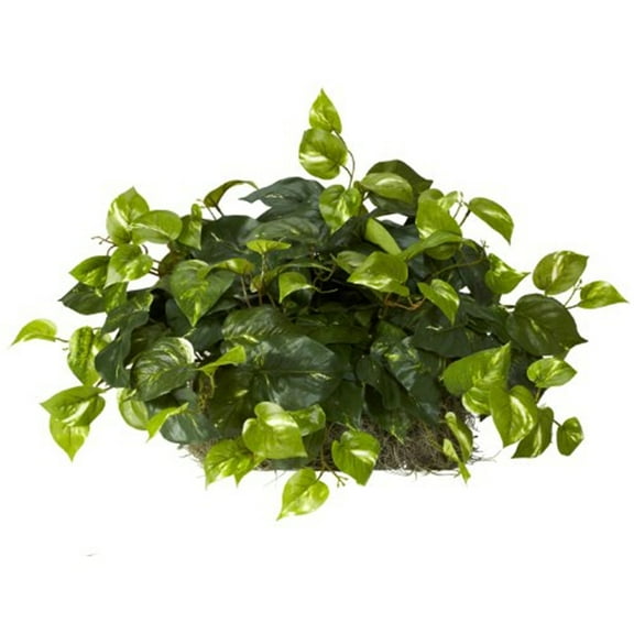 Nearly Natural 15" Pothos Set on Foam Sheet Artificial Plant, Green