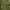 Green Leaf, variant on Free Assembly Women's Gathered Neck Cotton Maxi Dress with Long Sleeves, XS-XXXL