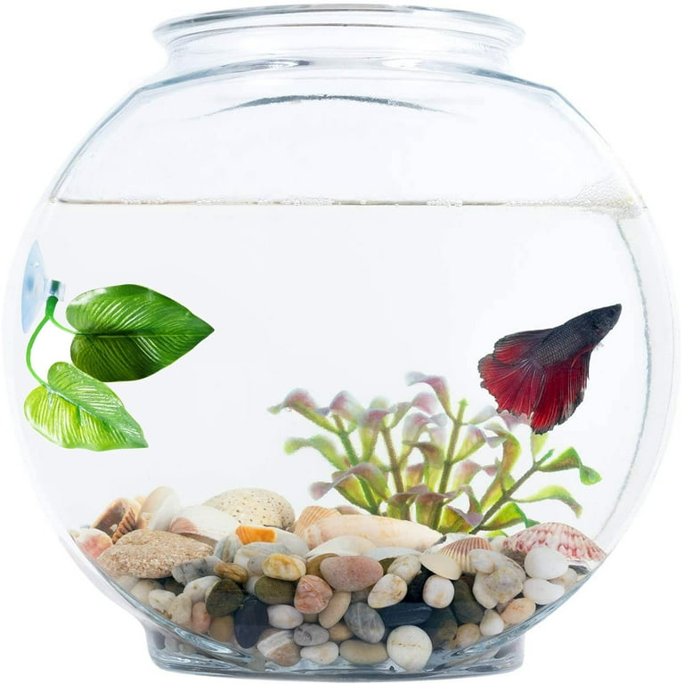 Betta tank accessories 2025