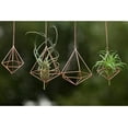 thumbnail image 3 of Hanging Air Plant Holder Himmeli Geometric Planter Metal Airplant Rack Tillandsia Hanger (without Chain) in Modern Rustic Art Style for Home Decor, 3 of 7