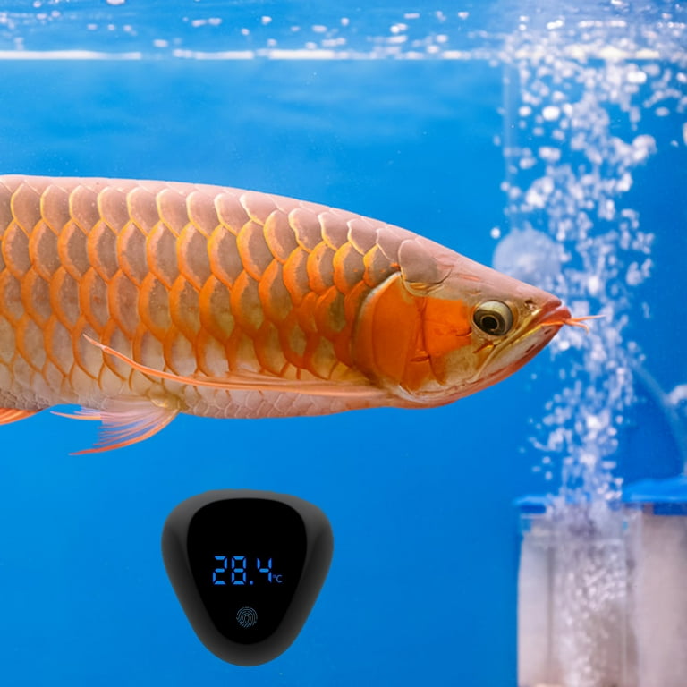 DaToo Aquarium Thermometer Digital Fish Tank Thermometer Accurate Water Terrarium  Thermometer with High/Low Temperature Alarm - Yahoo Shopping