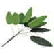 thumbnail image 2 of Artificial Plants Tropical Leaves Banana Tree Faux Palm Leaf Of Plant Fake Leaves Indoor Outside Gar, 2 of 5