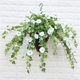 thumbnail image 3 of Cesta colgante de seda artificial Wosthever flor de gloria de la mañana decoración para Sala de bodas blanco, 3 of 6