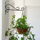 thumbnail image 3 of Soporte para colgar, soporte para colgar en la pared de hierro, soporte para plantas artísticas, calidad inigualable, 3 of 8