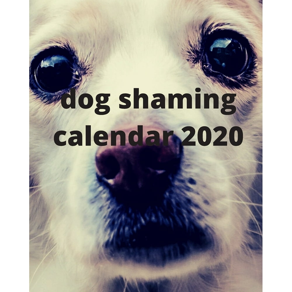 dog shaming Calendar 2020 (Paperback) dog shaming Calendar 2020 (Paperback)
