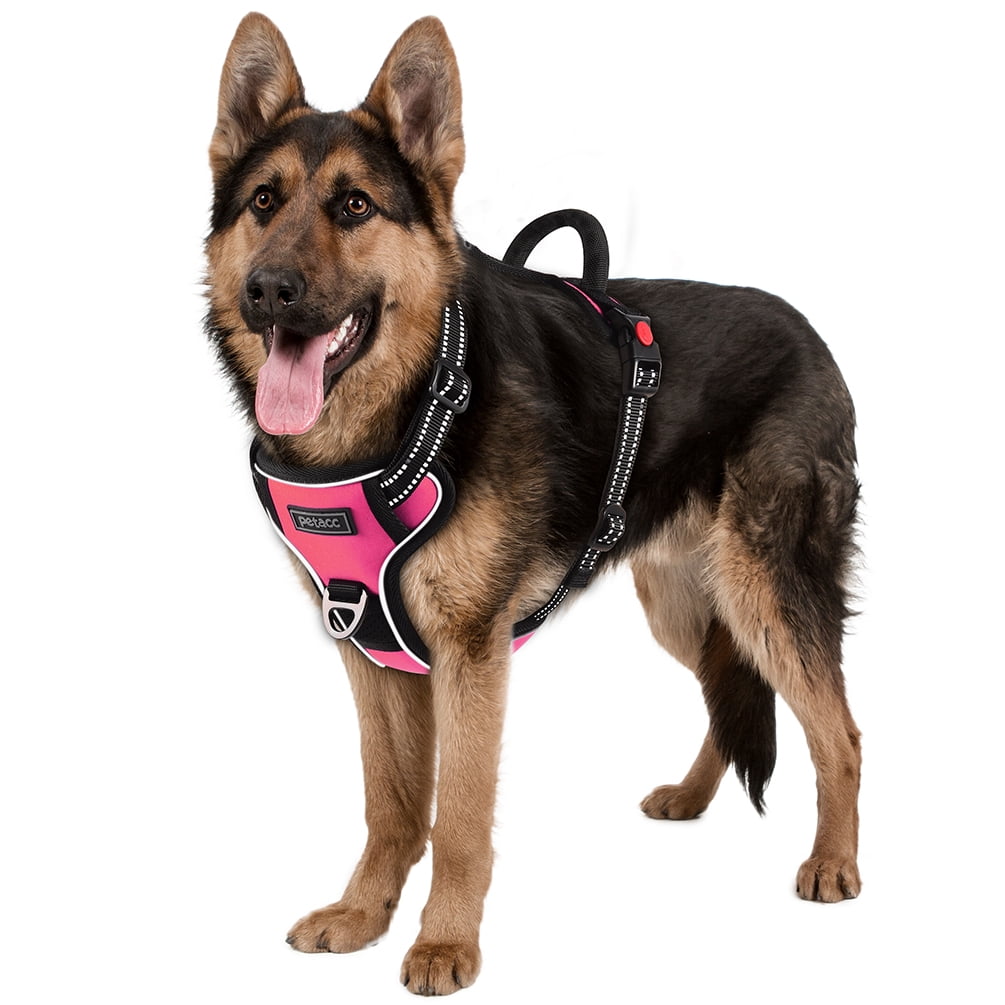 pink reflective dog harness