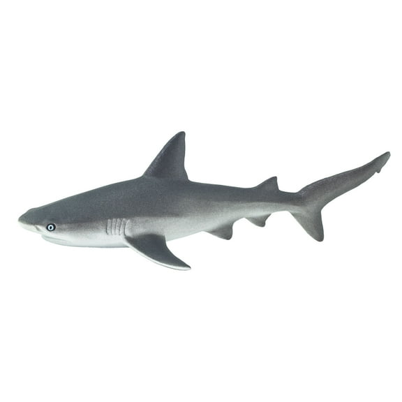 Safari Ltd. Gray Reef Shark Figurine - Detailed 6.25" Plastic Model Figure - Educational Sea Life Toy for Boys, Girls and Kids Ages 3 