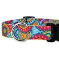 thumbnail image 7 of Country Brook Petz® Sky Mandala Everyday Dog Collar and Leash, Small, 7 of 7
