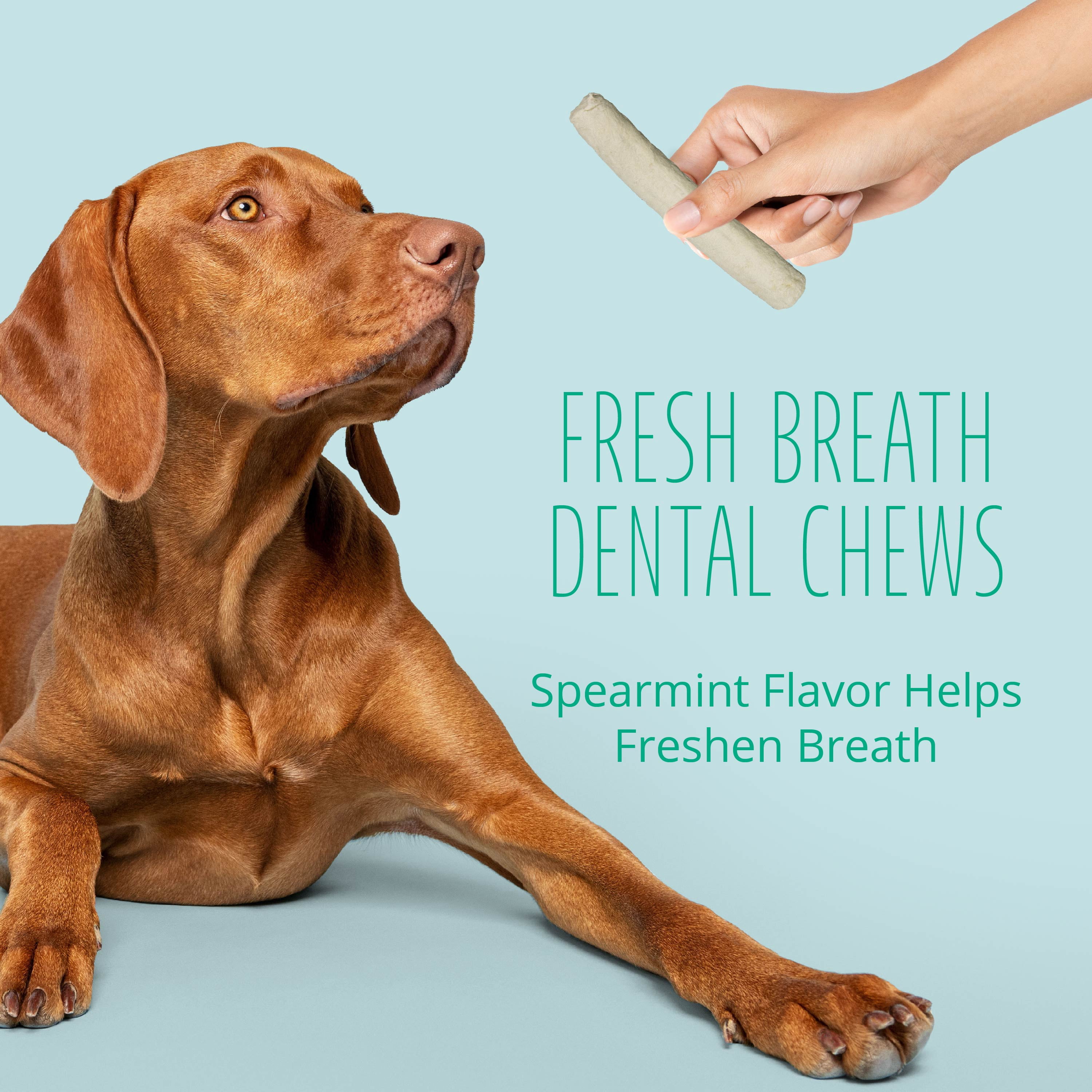 Better Belly Fresh Breath Dental Large Rolls, Dry Dog Chews, 4 Count