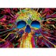 thumbnail image 1 of Taladro de pintura de diamante (DB6173) 5D Diamante de imitación completo Calavera colorida DIY Punto de cruz 45x60cm Hugtrwg Para estrenar, 1 of 1
