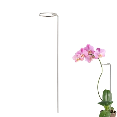 5Pcs Plant Cage Support Rings Silver Sunflower For Phalaenopsis Stainless Steel Orchid Rose Garden Plant Stakes