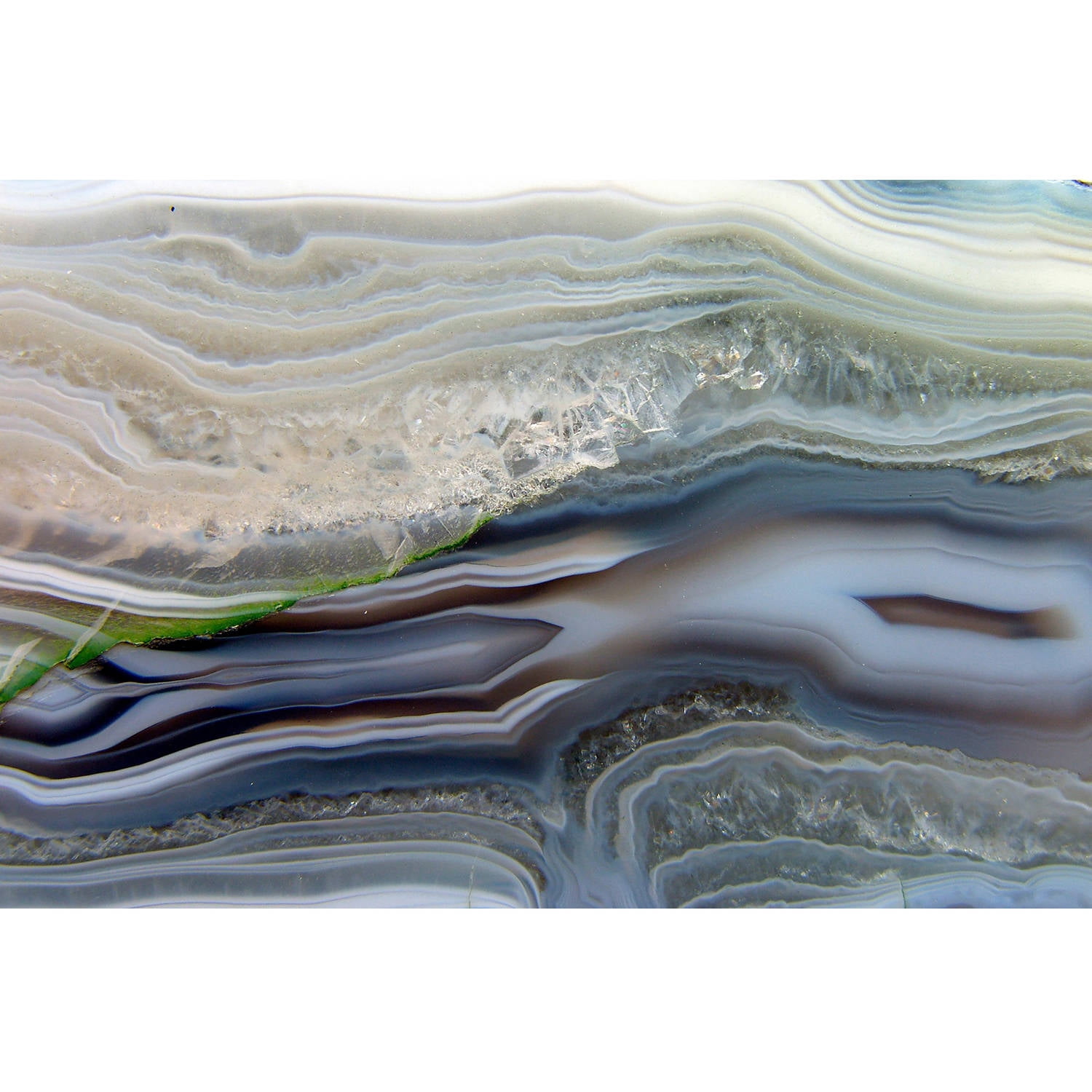 Marmont Hill "Crustations" Painting Print on Wrapped Canvas