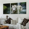 thumbnail image 2 of White Tiger Picture Decor for Bedroom, Gorgeous Wall Art of Ivory Tigress in Pond, Wild Life Theme Canvas Painting Prints on Canvas (12"x16", Waterproof Artwork, Bracket Mounted Ready to Hang), 2 of 4
