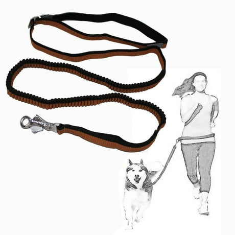 Hands Free Dog Leash For Hiking Hands Free Dog Leash For Hiking