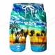 thumbnail image 1 of Pantalones cortos de natación para hombre, Shorts de playa para tabla de surf 3d de Coconut Tree, ropa deportiva para niño Fivean unisex, 1 of 2