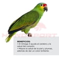 thumbnail image 5 of Alimento para Loro Kaytee Forti-Diet 1.81 Kg, 5 of 5