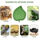 thumbnail image 3 of 2 Pieces Leaf Reptile Food Water Bowl Plate Dish for Tortoise Corn Snak, 3 of 5