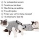 thumbnail image 2 of Traje de recuperación para gatos Heridas abdominales Enfermedades de la piel E-Collar Alternativa de cono, 2 of 8
