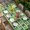 Multicolor, variant on Saint Patrick's Day Table Cloths for 8 Foot Rectangle Tables, Country Green Plaid Shamrock Clovers Patio Waterproof Elastic Fitted Tablecloths, Washable Rectangular Table Cover for Camping