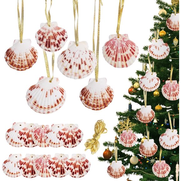 SINKOO 20PCS 2"-3" Seashells for Crafting Christmas Ornaments, Hanging Sea Shells for Decorating, Natural Scallop Shells for Crafts DIY Home Decor Wreath Decoration,With Golden Thread