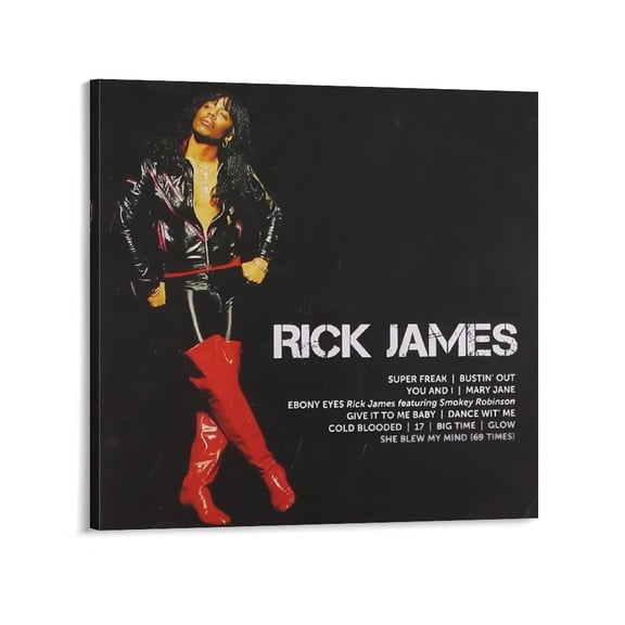 Rick James Singer Poster Print Canvas Wall Art (10) Art Poster Canvas Painting Decor Wall Print Photo Gifts Home Modern Decorative Posters 28x28inch(70x70cm)