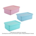 thumbnail image 1 of Caja Prichos BORIS Plástica Multiusos con Tapa Varios Colores 1 Pieza, 1 of 4