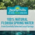 thumbnail image 3 of Zephyrhills Florida Spring Water, 16.9 Fl Oz, Single Plastic Bottle, 3 of 13