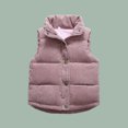 thumbnail image 4 of Hjtefg Kids Textured Vest, Sleeveless Insulated Coat with Functional Pockets, Thermal Winter Outerwear for Toddler Boys and Girls, Cozy Layering Piece,Color: 2-Pink Size: 5-6 Years, 4 of 6