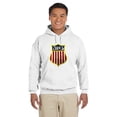 thumbnail image 4 of Official USA hockey NTDP Chenille Logo hoodie, 4 of 5