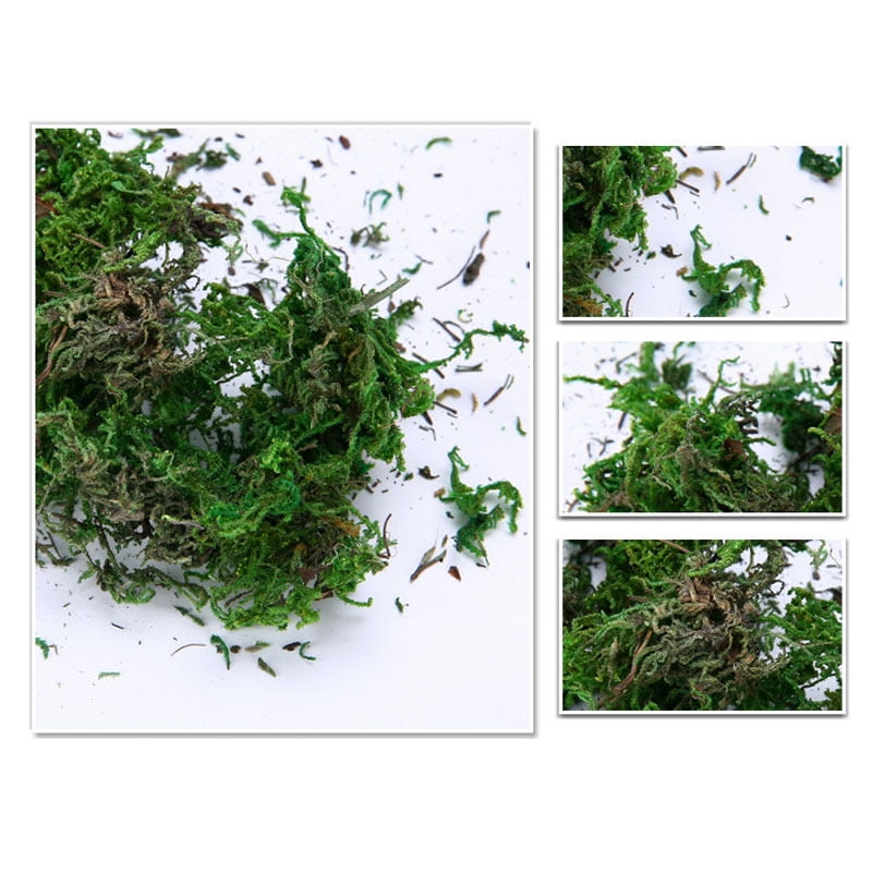 Artificial Dried Moss Lining Decor Flower Hanging Baskets Gardening Wedding  Party DIY Decoration Crafts 20/50/100g/bag – the best products in the Joom  Geek online store