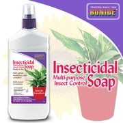 Bonide 112 Ready-to-Use Insect Soap, 12-Ounce