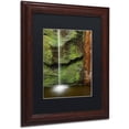 thumbnail image 2 of Trademark Fine Art "Moss and Rust" Canvas Art by Michael Blanchette Photography Black Matte, Wood Frame, 2 of 4