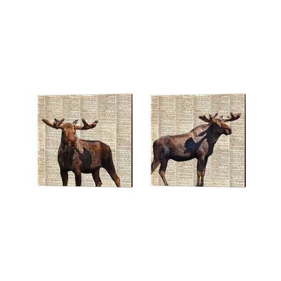Great Art Now Country Moose by Anna Coppel 2 Piece Canvas Art Set Each 14"W x 14"H