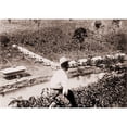 thumbnail image 2 of Costa Rican Banana Plantation Has A Traditional Big House And Small Worker'S Quarters. Ca. 1910. History, 2 of 2