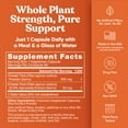thumbnail image 6 of PURE VITEX — Chaste Tree Hormone  Estrogen Balance, 6 of 8