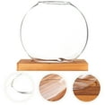 thumbnail image 4 of Shisuyan Wall Hanging Propagation Station Elegant Glass for Home 1Pack, 4 of 8
