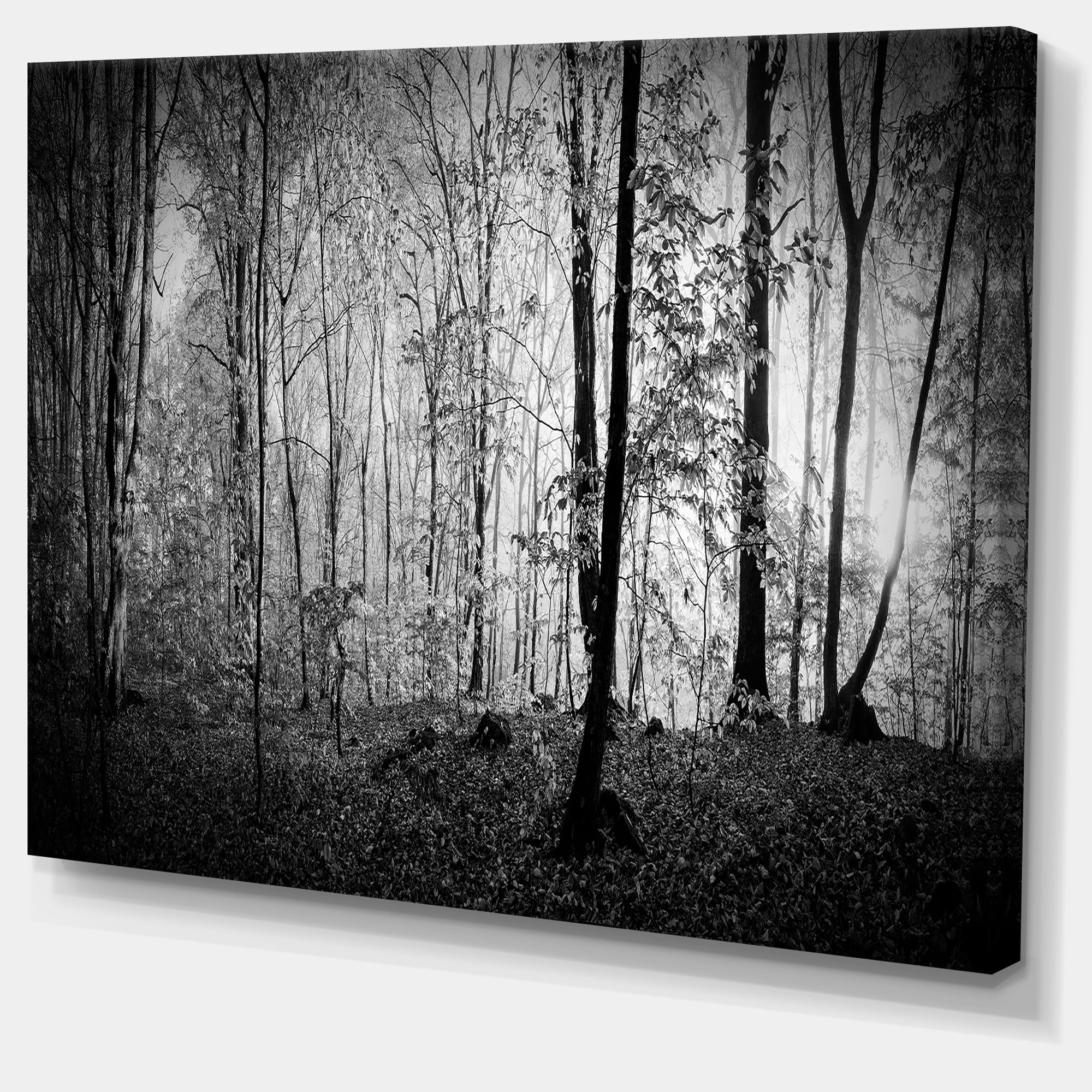 Designart 'Beautiful Forest Morning Panorama ' Large landscape Canvas Art Print