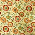 RSH Décor Indoor Outdoor Fabric by The Yard (5 Yards, Fanfare Sonoma